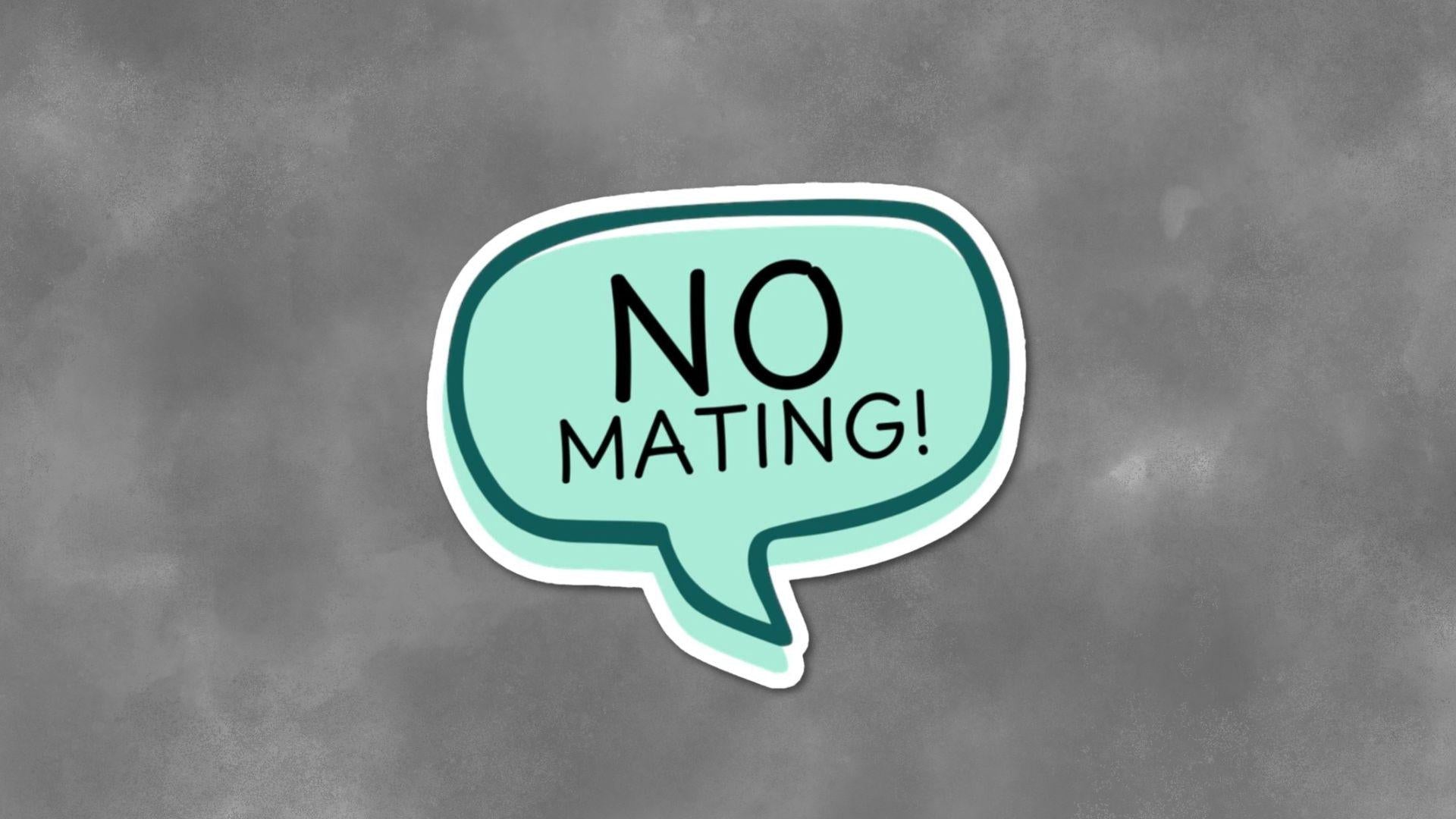 No Mating," Pattern, Cosmere Inspired Stickers, Gifts for Book Lovers, Fantasy Art Decor, Laptop Decals, Geeky Accessories, 3 Designs