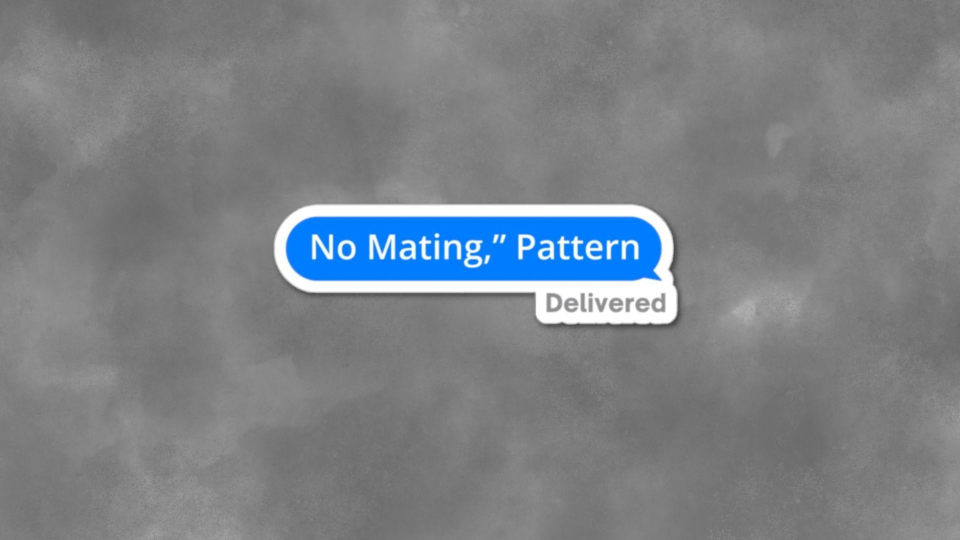 No Mating," Pattern, Cosmere Inspired Stickers, Gifts for Book Lovers, Fantasy Art Decor, Laptop Decals, Geeky Accessories, 3 Designs